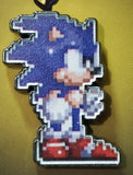 The Blue Hedgehog pin